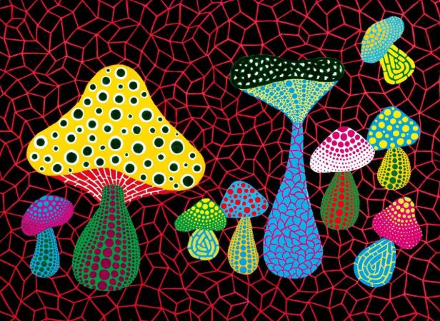 Mushrooms, 2005