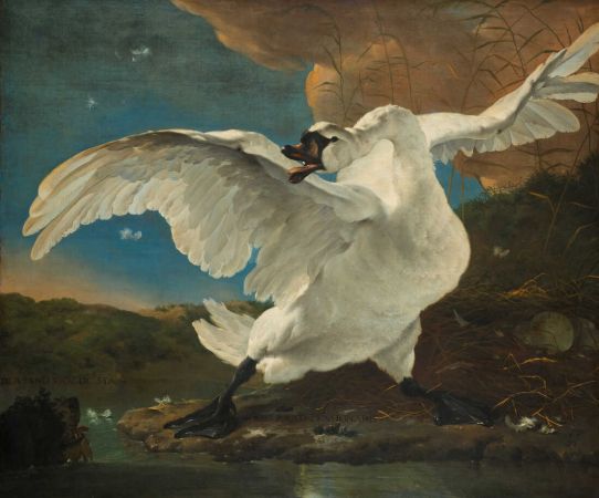 Jan Asseljin,The Threatened Swan
